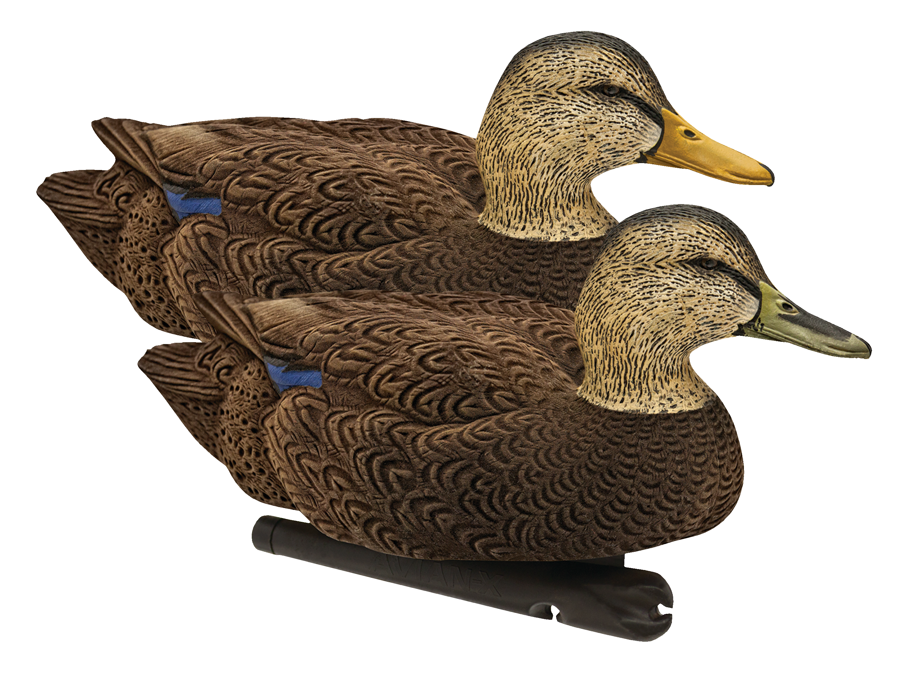 AvianX Topflight Black Duck Decoys Bass Pro Shops